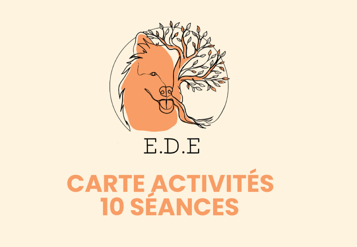 Cours collectif fun deux personnes qui rigolent pendant un exercice d'éducation canine